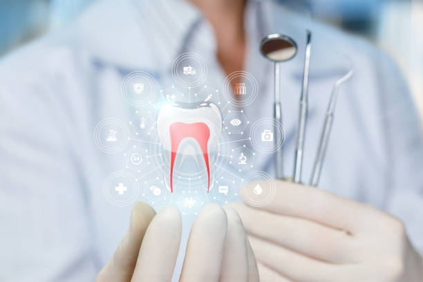 Professional  Holistic Dental Services in Valley Cottage, NY